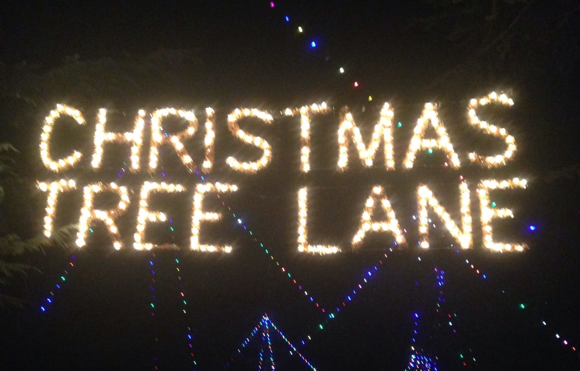 Christmas Tree Lane opens Wednesday, December 1